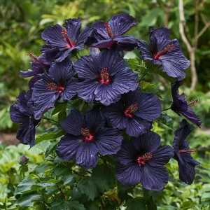 Гибискус Мэджик Момент купить по цене от 699р. в интернет-магазине «Посадика» с доставкой почтой в в Подпорожьее и по всей России – [изображение №1].